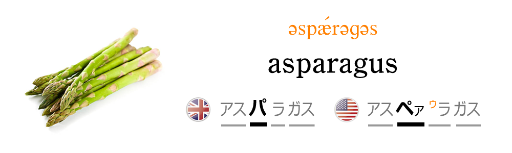 アスパラガスを英語で発音しよう！
