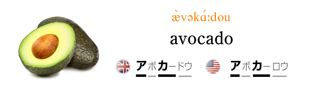 アボカドを英語で発音しよう！