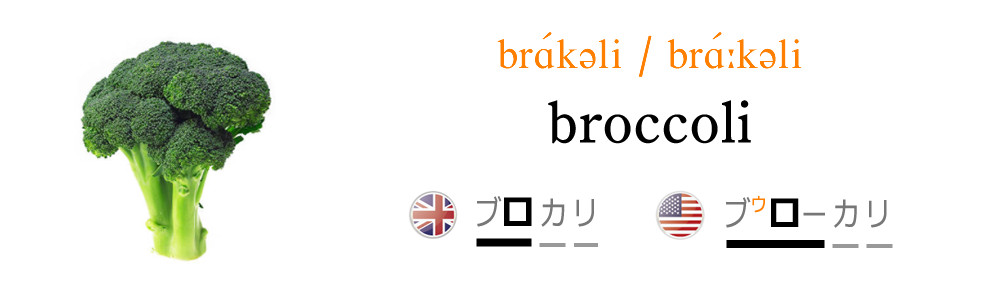 ブロッコリを英語で発音しよう！