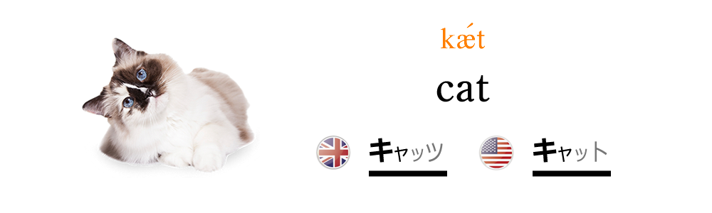 ネコを英語で発音しよう！