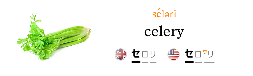 野菜の英語名 Celery Nipponglish ニッポングリッシュ