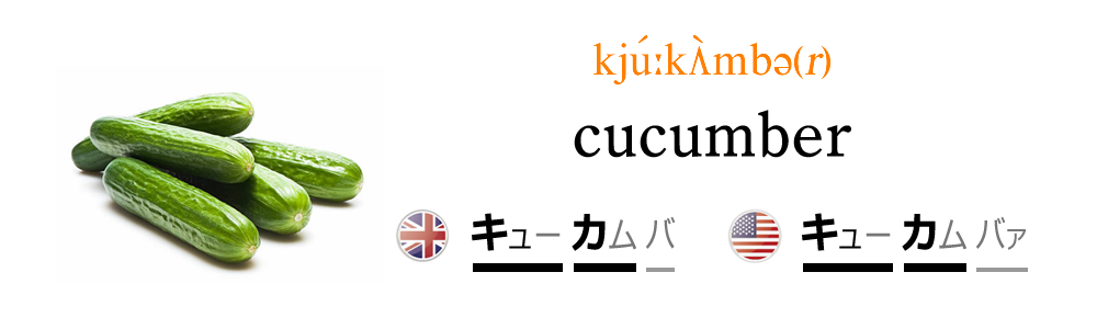 英語 きゅうり