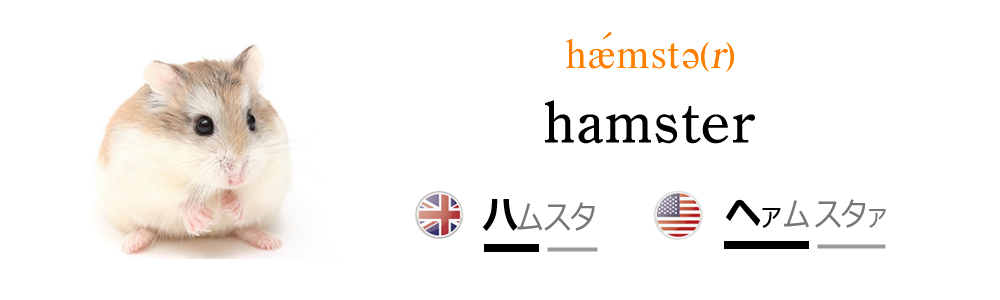 動物の名前 Hamster Nipponglish ニッポングリッシュ