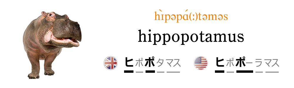 動物の名前 Hippopotamus Nipponglish ニッポングリッシュ