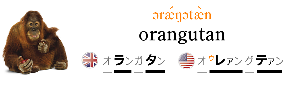 動物の英語名 オラウータン英語で言える Nipponglish ニッポングリッシュ