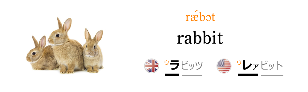 ウサギを英語で発音しよう！