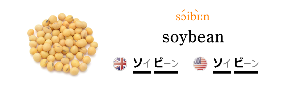 大豆を英語で発音しよう！