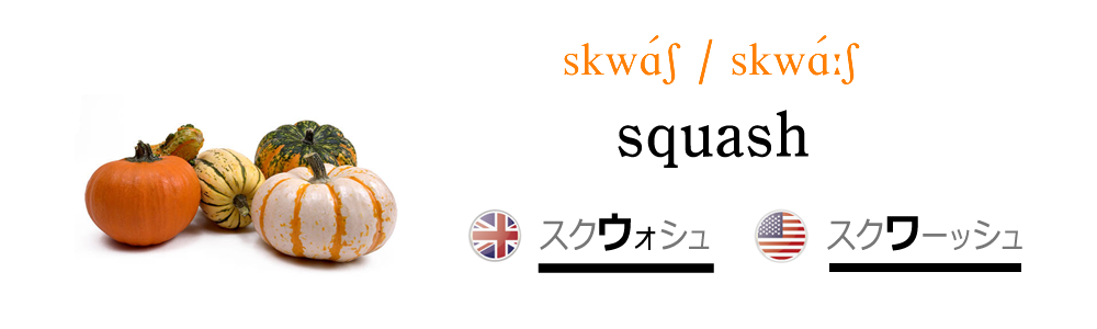 野菜の英語名 Squash Nipponglish ニッポングリッシュ